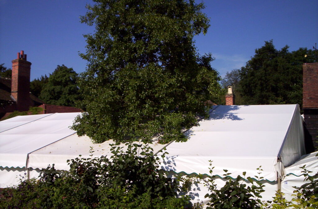 Interconnected clear-span marquees installed around mature trees, demonstrating a bespoke marquee layout designed to maximise space while working around existing landscape features.